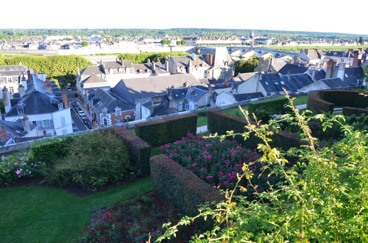 Le Vinci Studio Tout Confort Proche Centre Ville Avec Terrasse Et Parking Blois Exterior foto